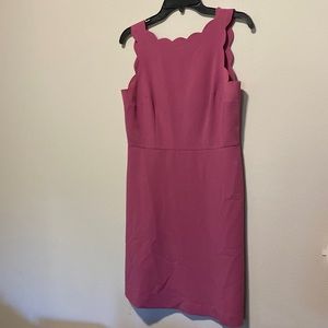 Loft Scalloped Dress